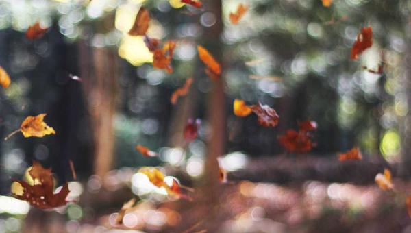 电竞战术分析图示